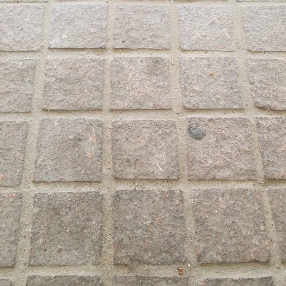 Meet your Posher, Daniel - Picture 1 of 1